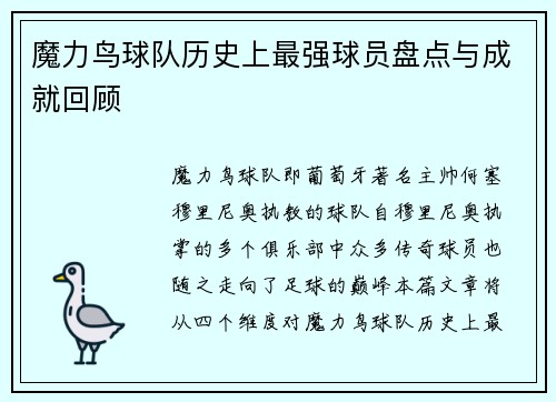 魔力鸟球队历史上最强球员盘点与成就回顾 魔力鸟球队历史上最强球员盘点与成就回顾