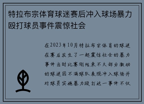 特拉布宗体育球迷赛后冲入球场暴力殴打球员事件震惊社会